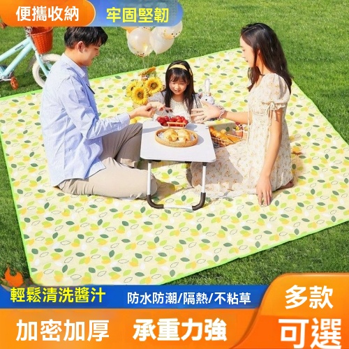 便攜式野餐墊