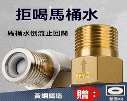 單向止逆閥
